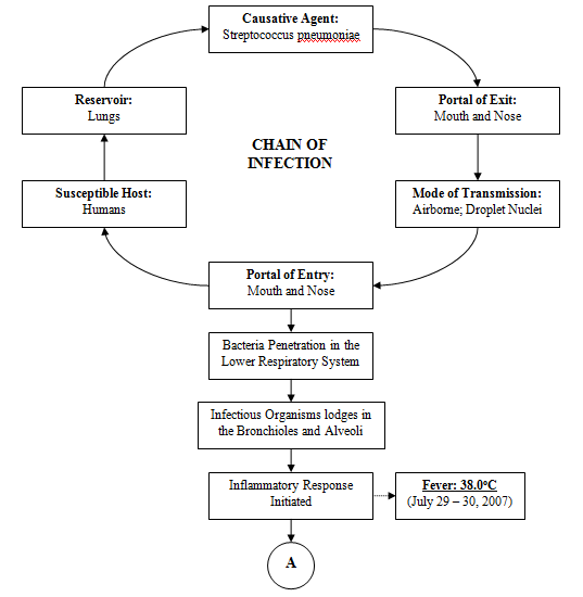 Acute Care Nursing Care Plan For Acute Respiratory Failure