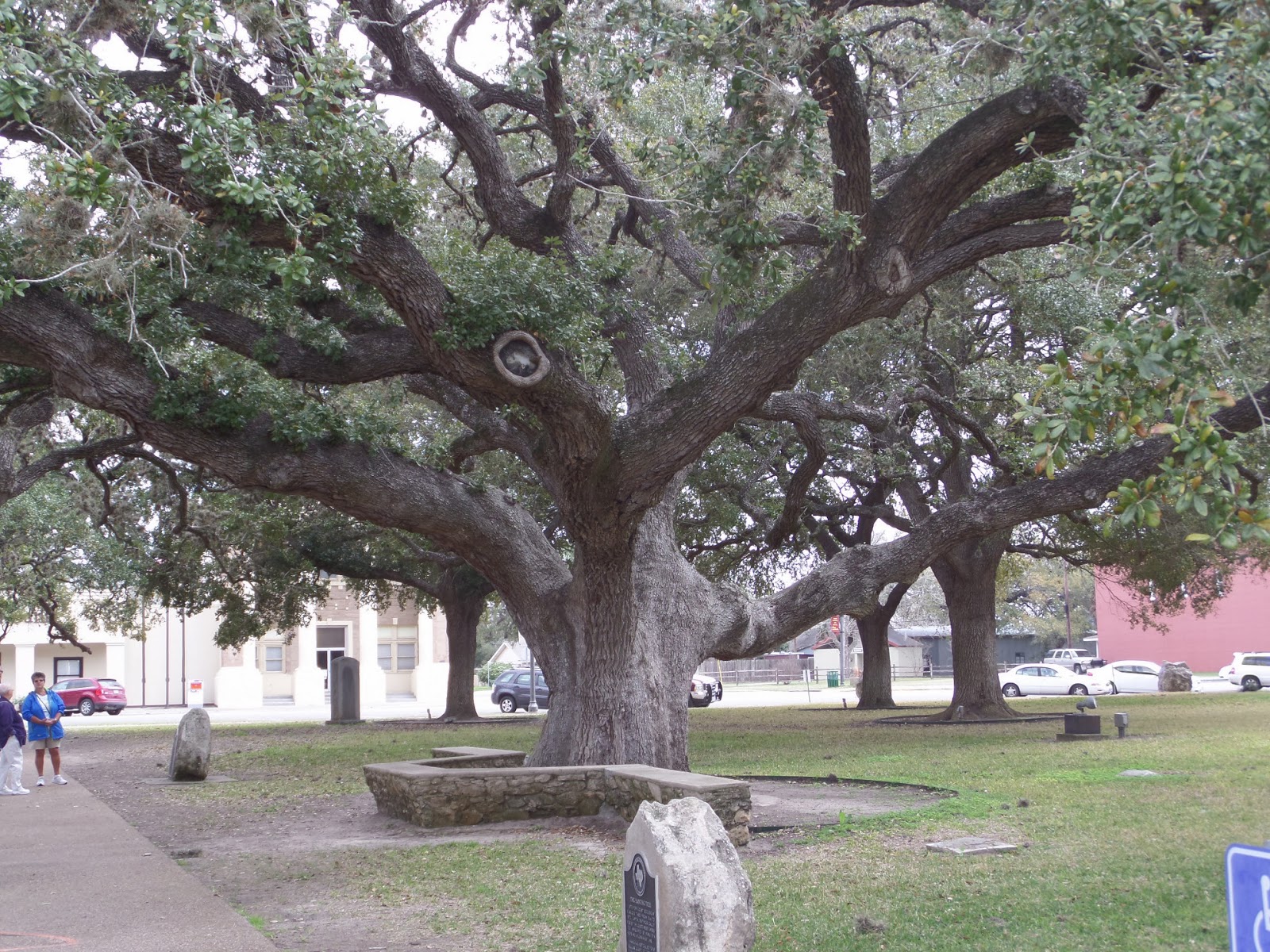 Cummings...and goings... Bay View RV Park, Rockport, Texas February