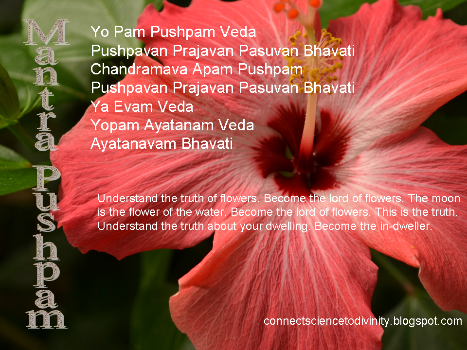 Mantra Pushpam In Tamil Pdf Free Download