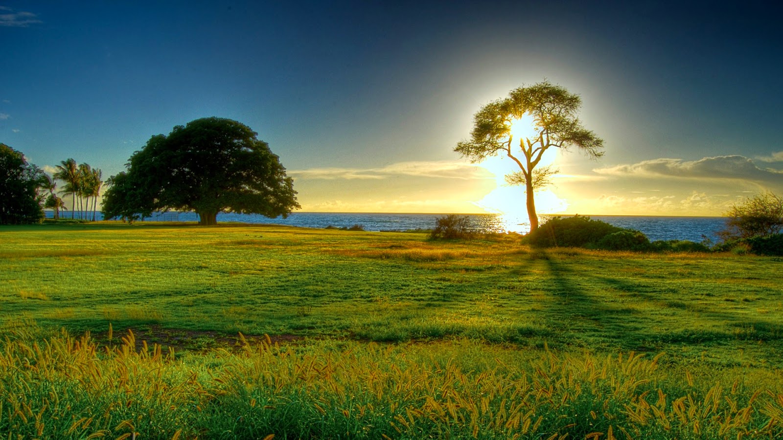 background hd