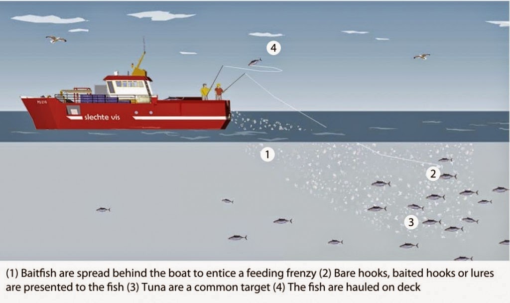 Fishing Techniques FOKUS MANCING