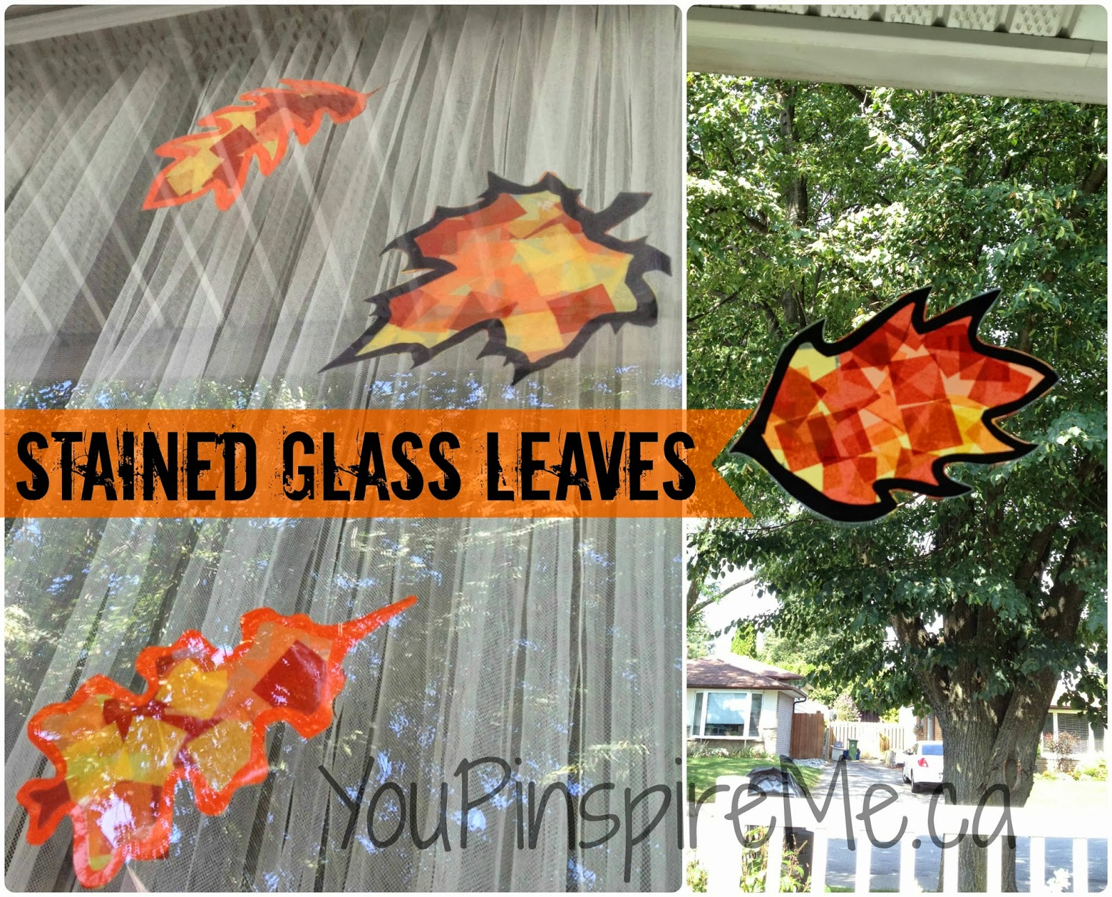 . You Pinspire Me . Stained Glass Leaves