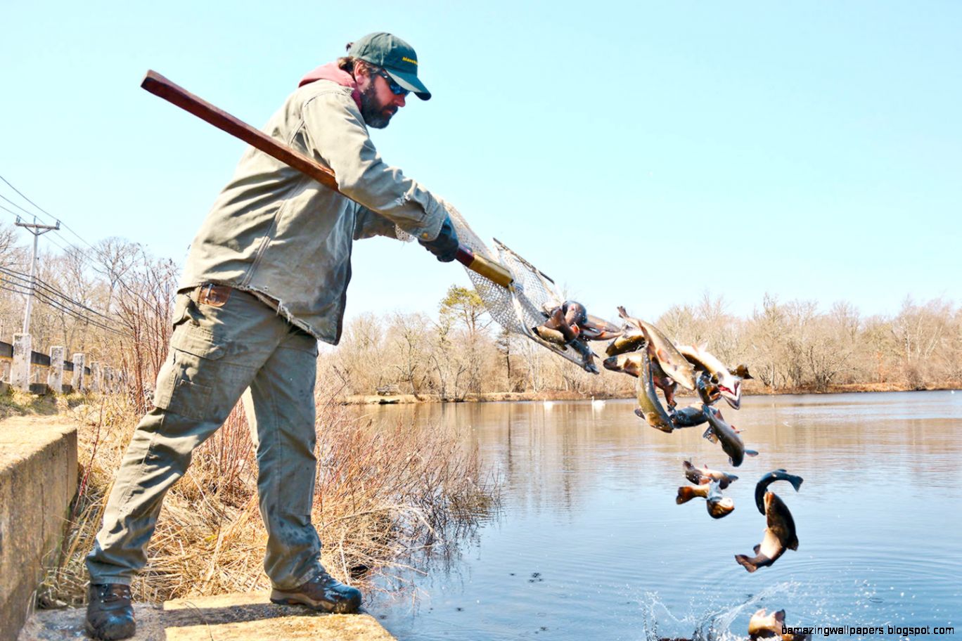 Signs of spring DFW trout truck arrives on Martha39s Vineyard Signs of spring DFW trout truck arrives on Martha39s Vineyard