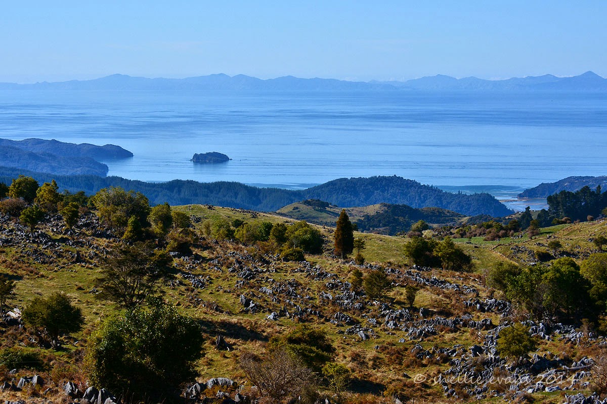 Two Go Tiki Touring A Journey Through Takaka Hill
