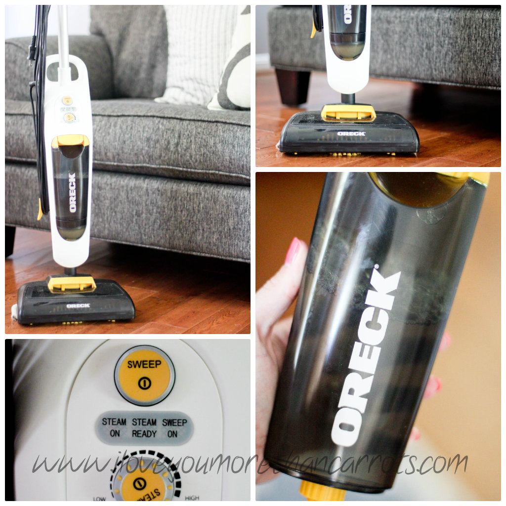 I Love You More Than Carrots The Great Oreck Steam Mop Giveaway