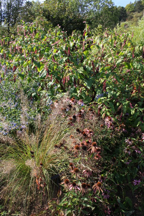 Le Jardin D Oscar