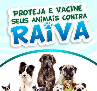 Definida a programação da Campanha de Vacinação Anti-rábica Animal em Muriaé