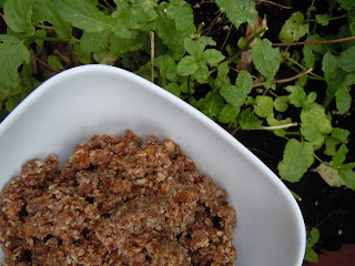 Praline végétalienne au beurre de coco, dattes et amandes