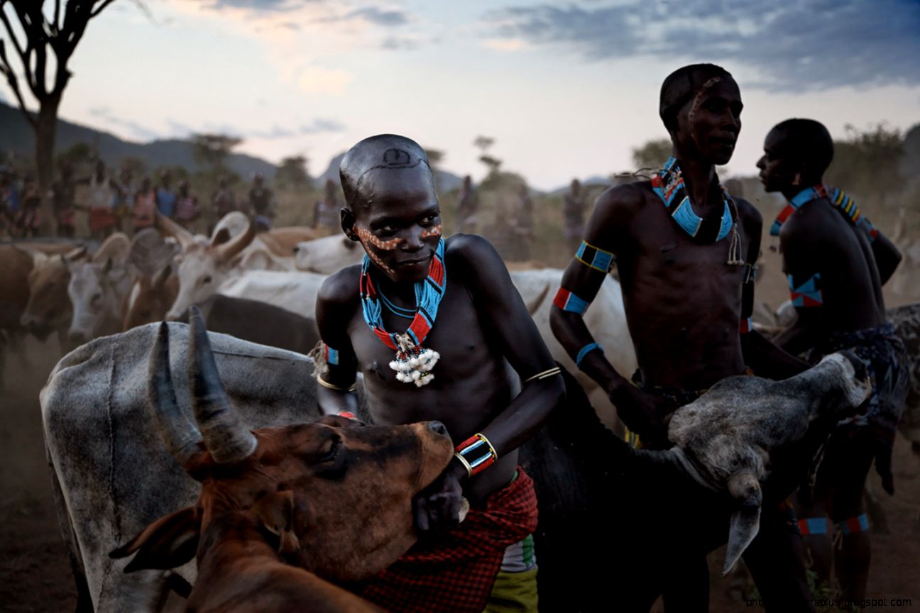 Randy Olson on Bridging Cultural Differences PROOF Randy Olson on Bridging Cultural Differences PROOF