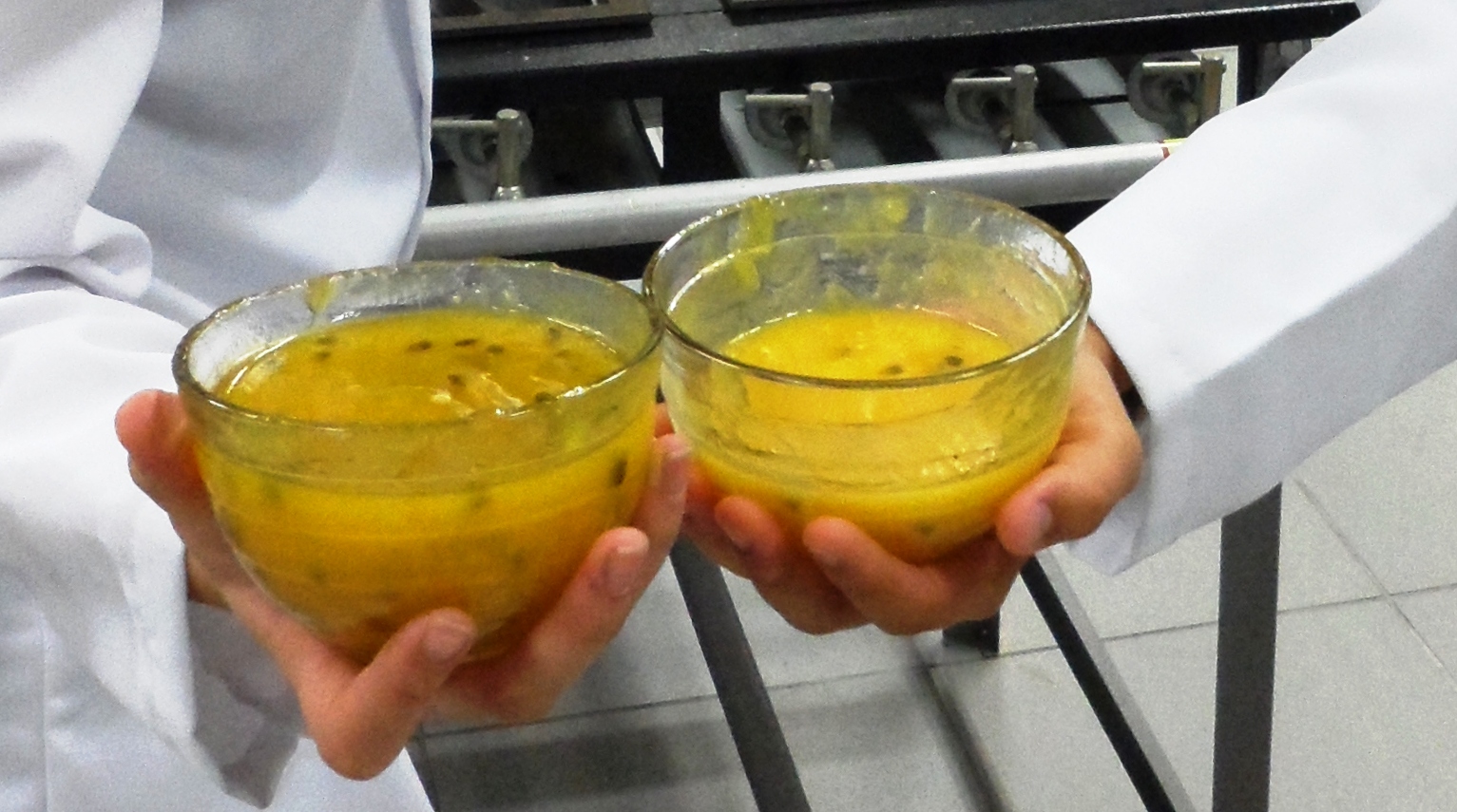 Blogoscópio Geléia de Maracujá Pectinas