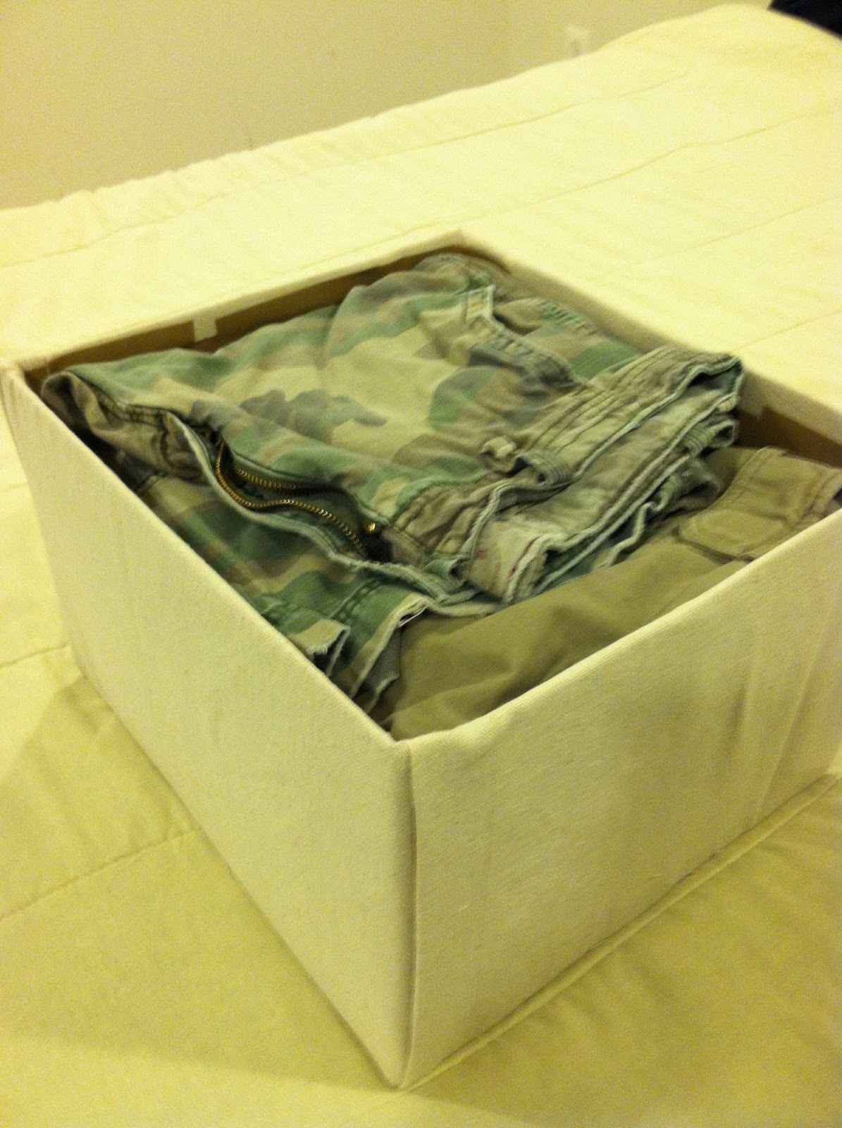 Mission Atlas Canvas Storage Boxes DIY