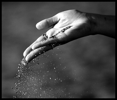 whatever it is we loved in the first place and so letting go is the only whatever it is we loved in the first place and so letting go is the only