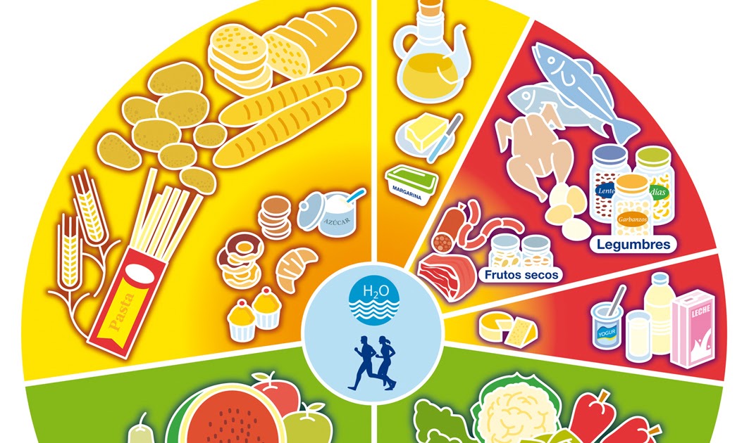 Ingesport Noticias La nueva rueda de los alimentos