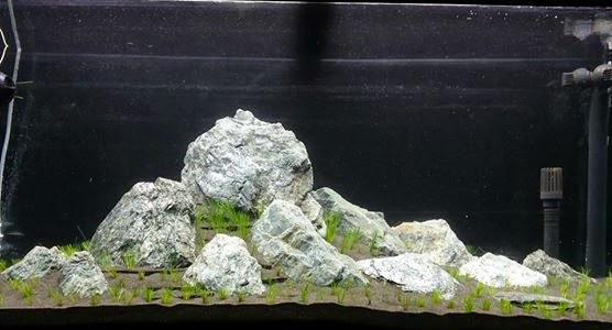 aquascaping tips tricks hardscape