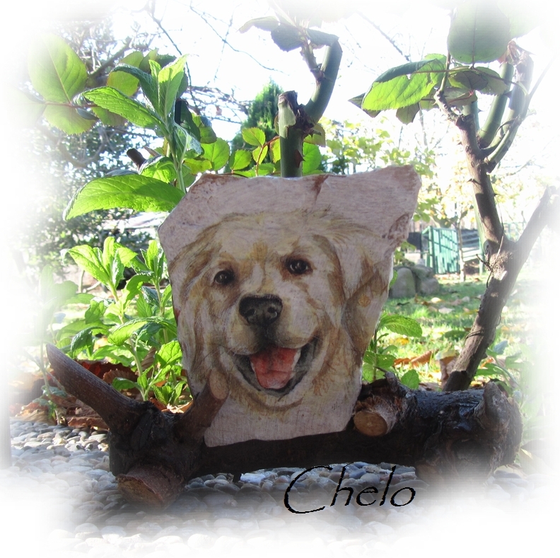 El rincón de chelo: decoupage en una piedra.....
