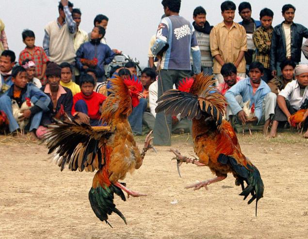 GURURAJ SHETTY MAGALORE(my native place)