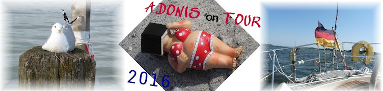 Adonis On Tour 2016