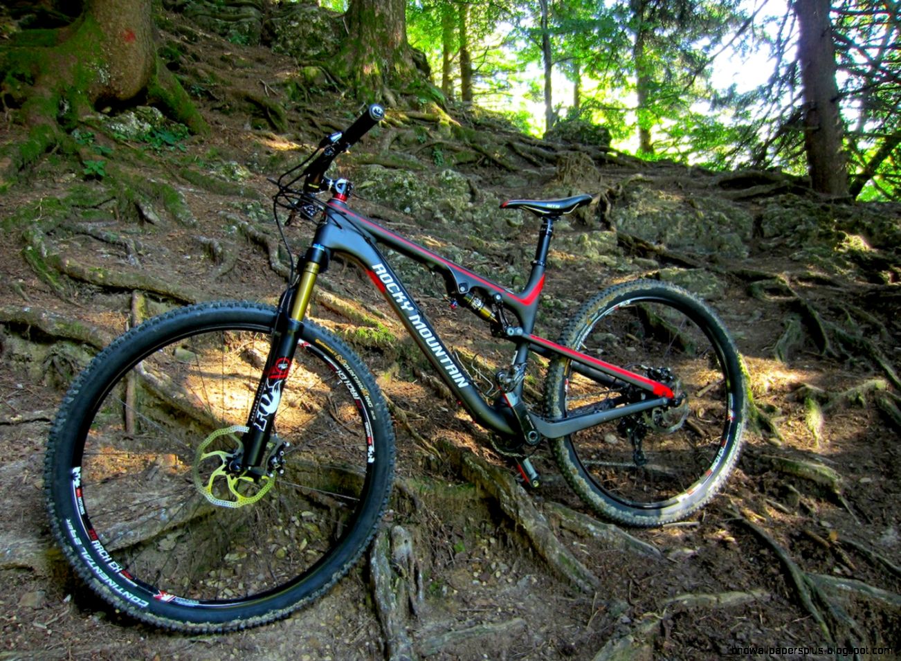 12 RM Instinct MSL 12 RM Instinct MSL