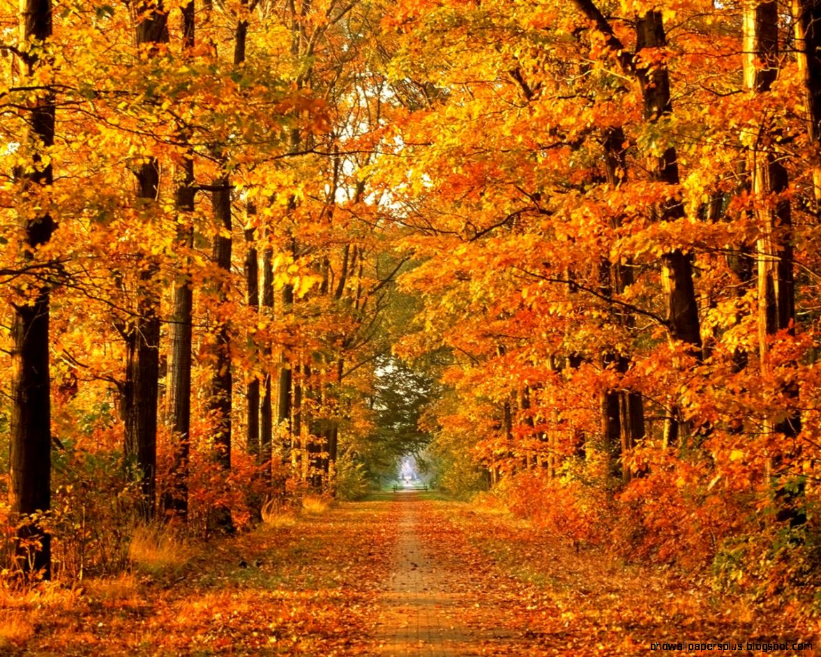 Fall Autumn Desktop Wallpaper Fall Autumn Desktop Wallpaper