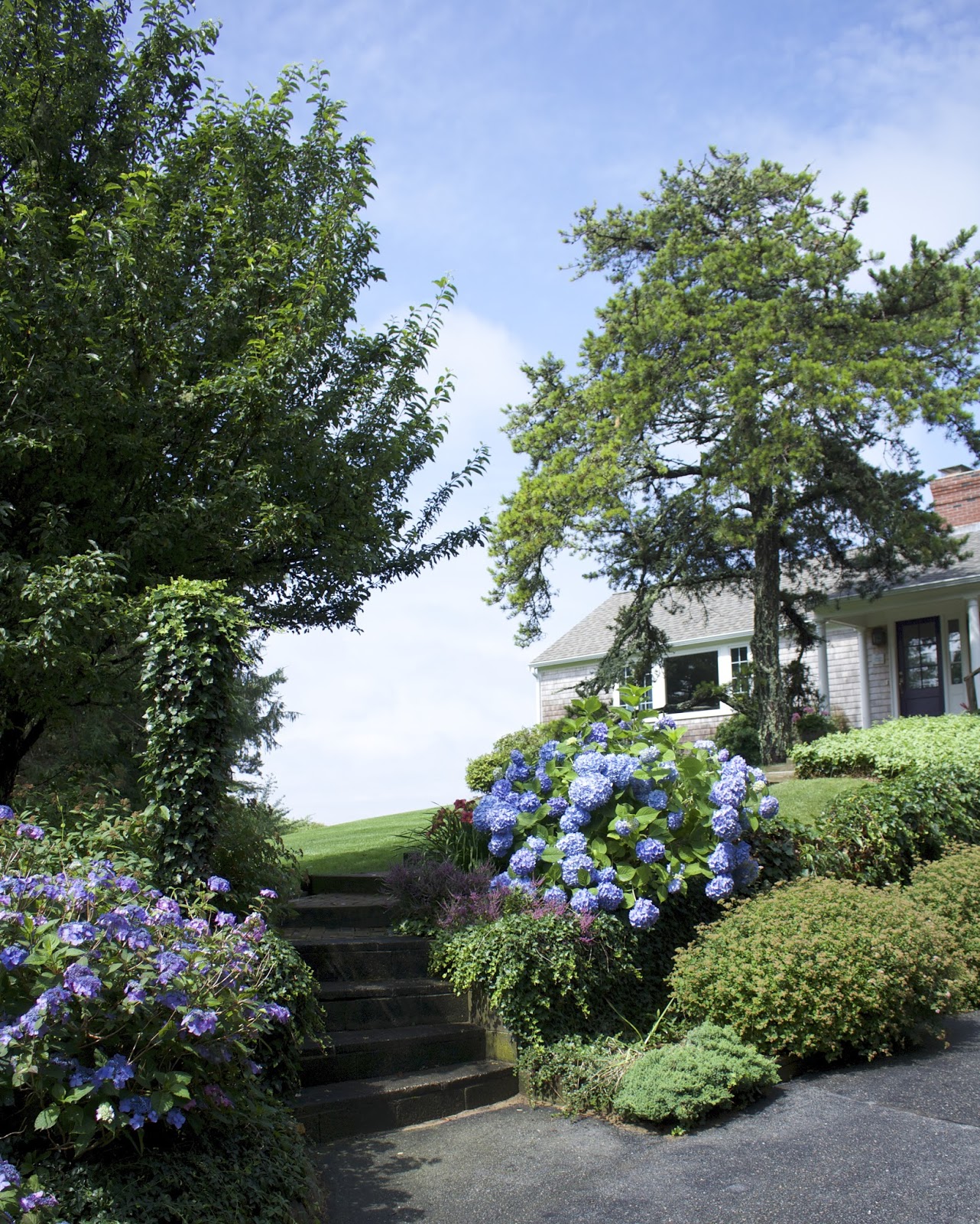 a design snack by Linda Pakravan Beach House Revisited, Orleans, MA