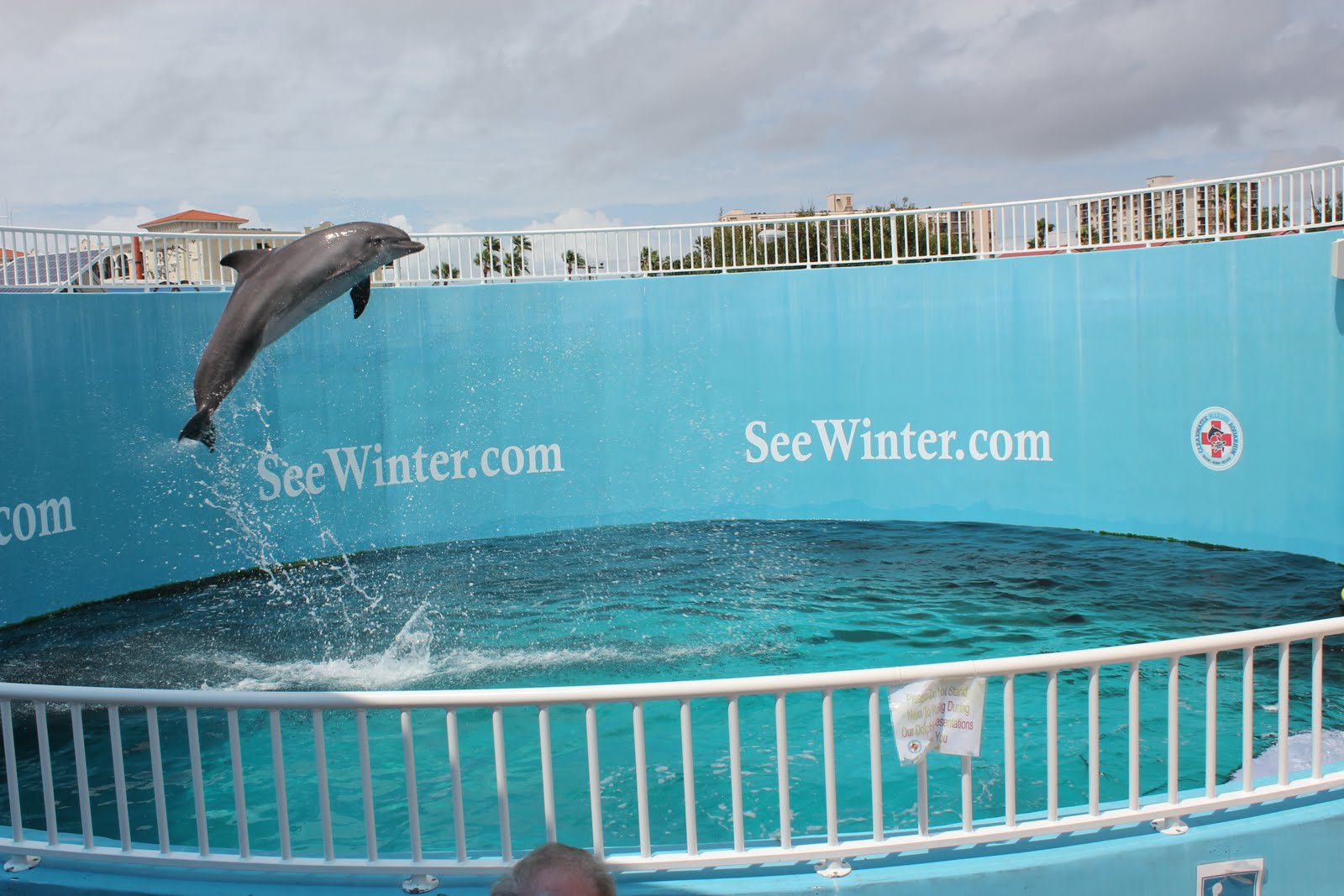 The Luhring Life Clearwater Marine Aquarium