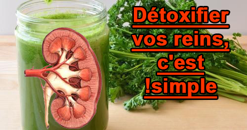 Détoxifier vos reins, c'est simple! | Sport et Santé Détoxifier vos reins, c'est simple! | Sport et Santé