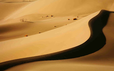Deserts Landscapes 