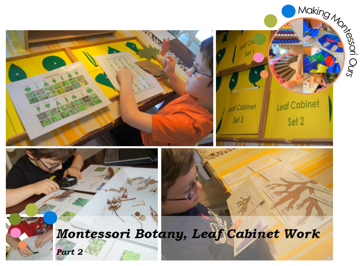 "Making Montessori Ours" Botany 2 Montessori Leaf Work