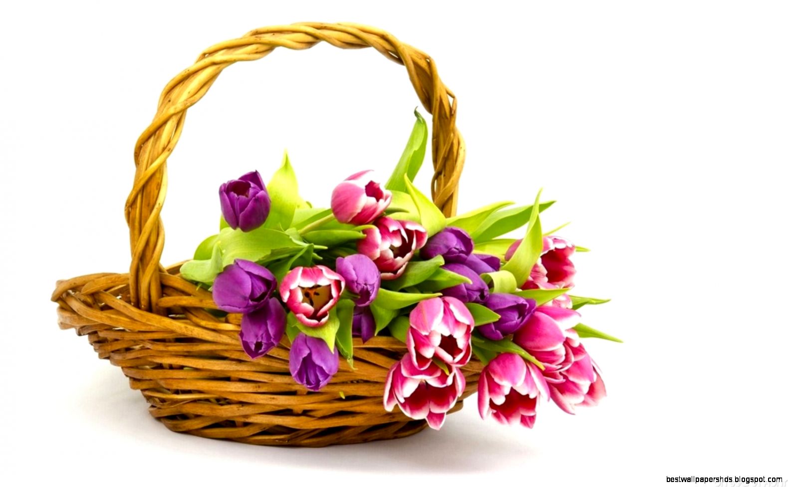 Purple Pink Flowers Basket Wallpaper On Secret Hunt Purple Pink Flowers Basket Wallpaper On Secret Hunt