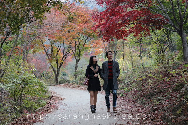 Couple enjoying the scenic walkway of the garden of the morning calm Couple enjoying the scenic walkway of the garden of the morning calm
