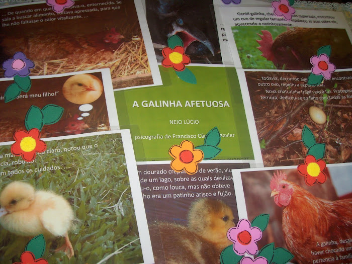 História: A Galinha Afetuosa