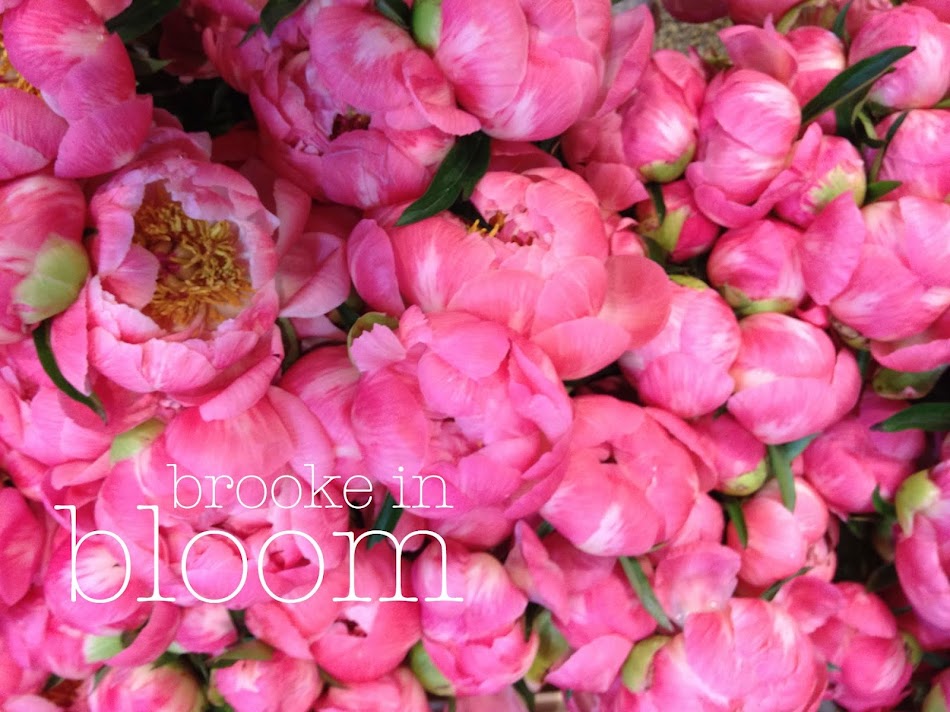 Brooke In Bloom