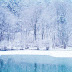 Winter Wallpaper