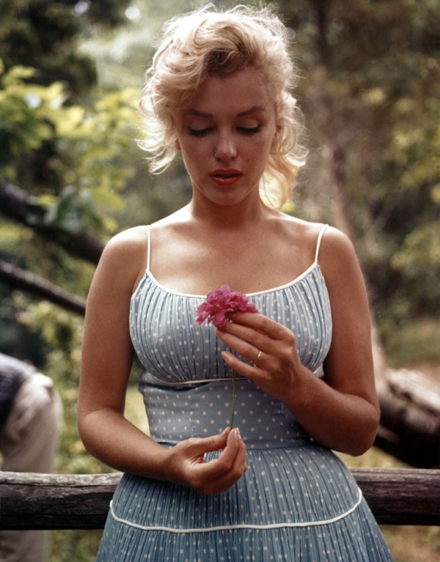 http://3.bp.blogspot.com/--ltVlCV1Nr0/TZ-FsEUua1I/AAAAAAAABvU/68MUCaHyW4o/s1600/Marilyn+Monroe+holding+a+flower+-+Marilyn+Monroe+-+Madness+and+her+last+days.jpg