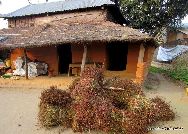 Taste of Nepal Buckwheat Bread Phaapar ko Roti (फापरको रोटी)