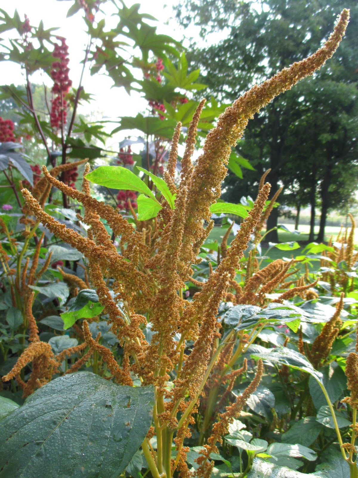 Casa Mariposa Naked And Afraid Losing The Black Spot Battle
