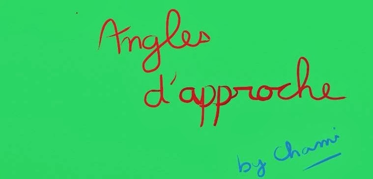 Angles d'approche by Chami