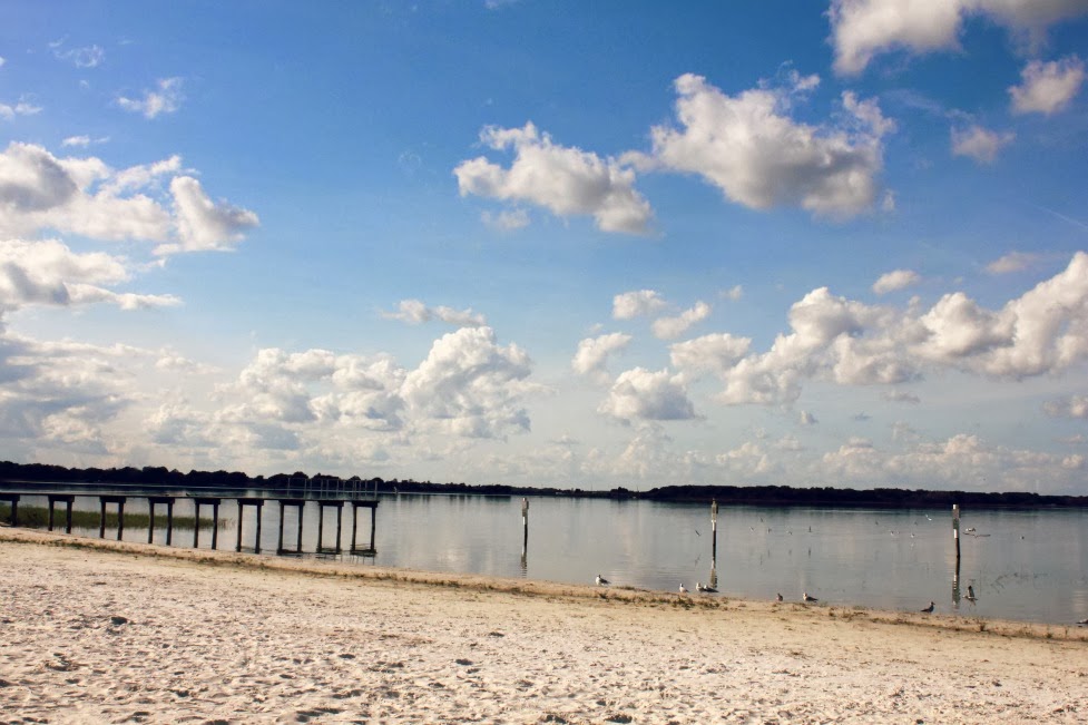 Wild Photography Lake Minneola