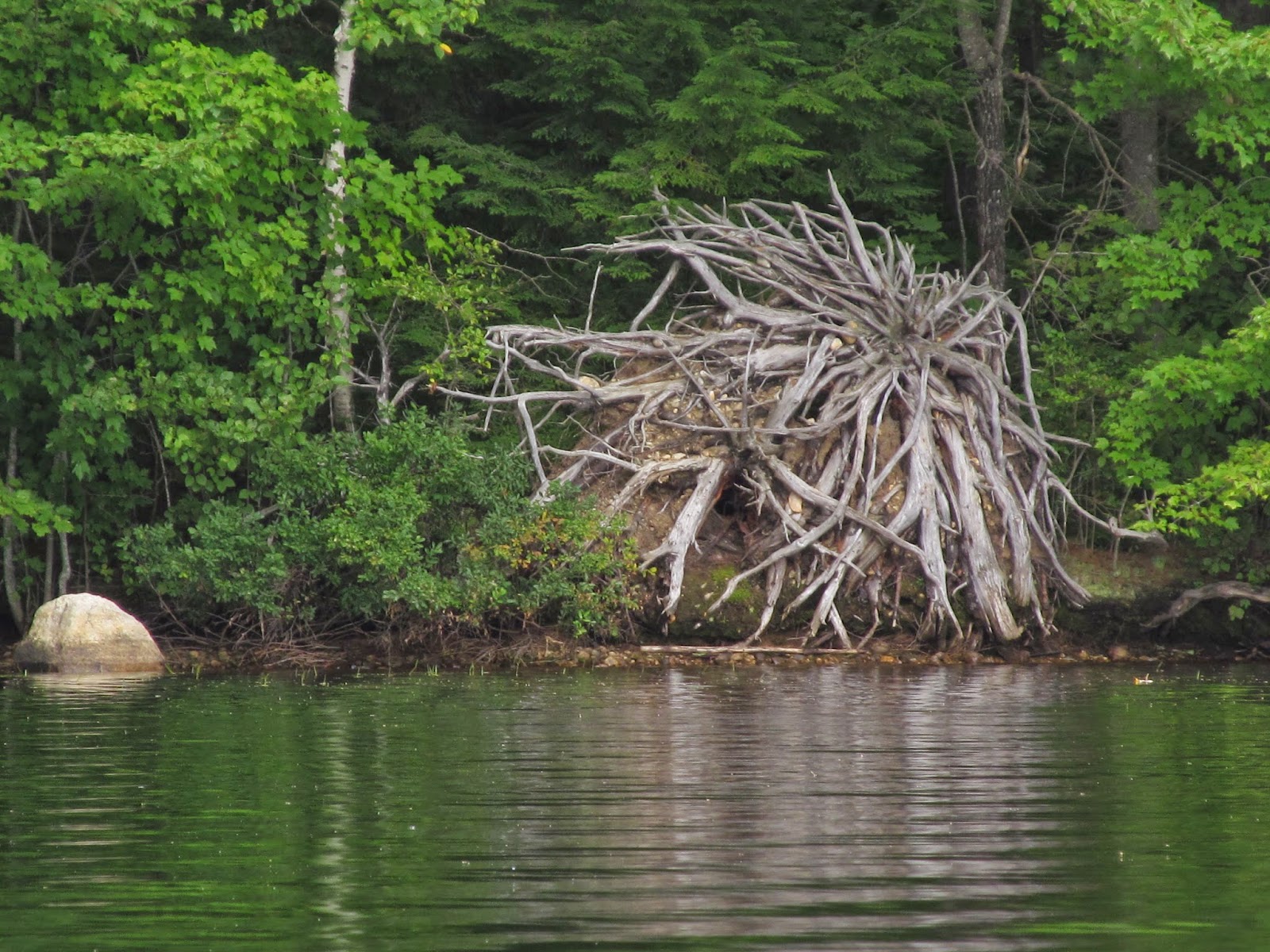 Recreational Kayaking in Maine Lake Arrowhead Limerick/Waterboro, ME