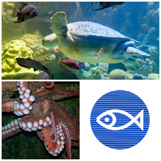 New england aquarium coupon