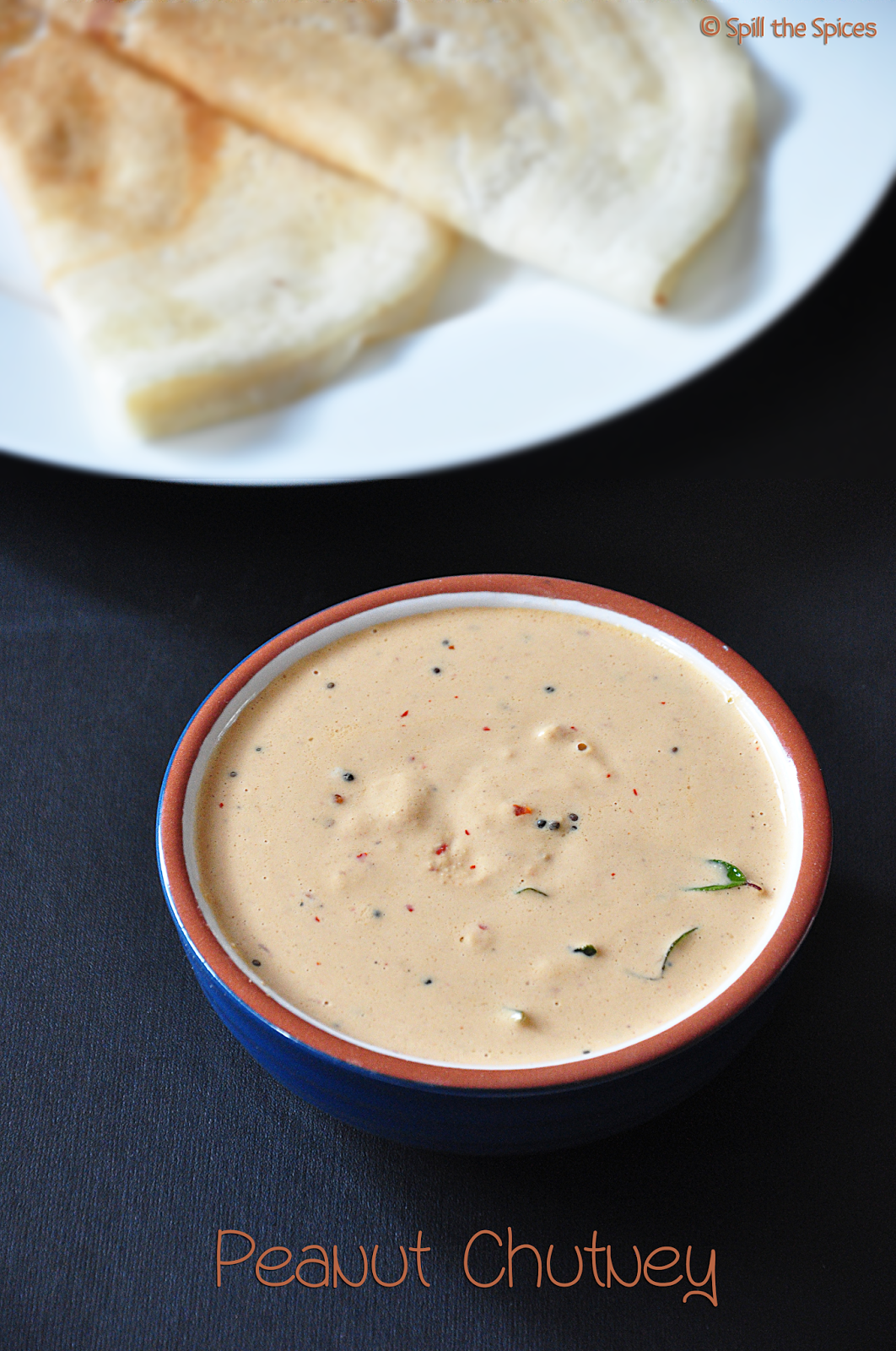 Peanut Chutney Spill the Spices