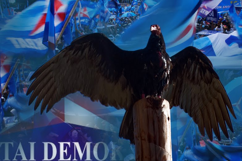 Rumah Seni Iq Celoteh Burung Nazar Kecil Puisi Iverdixon Tinungki