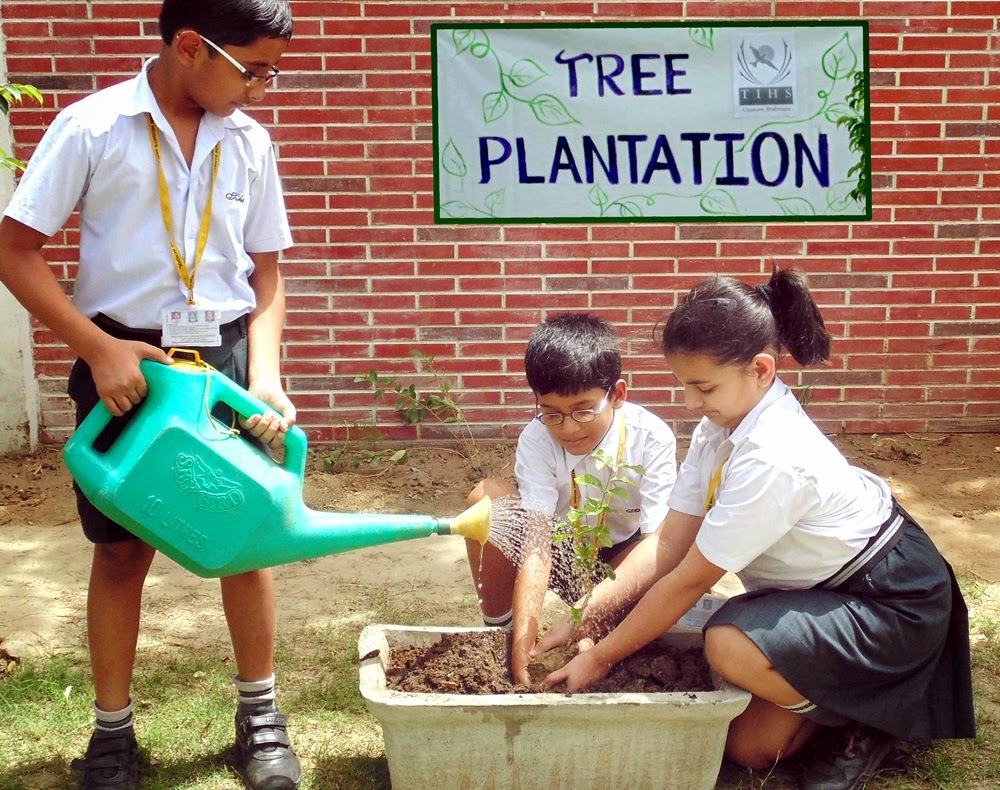 Essay on tree plantation programme in school image