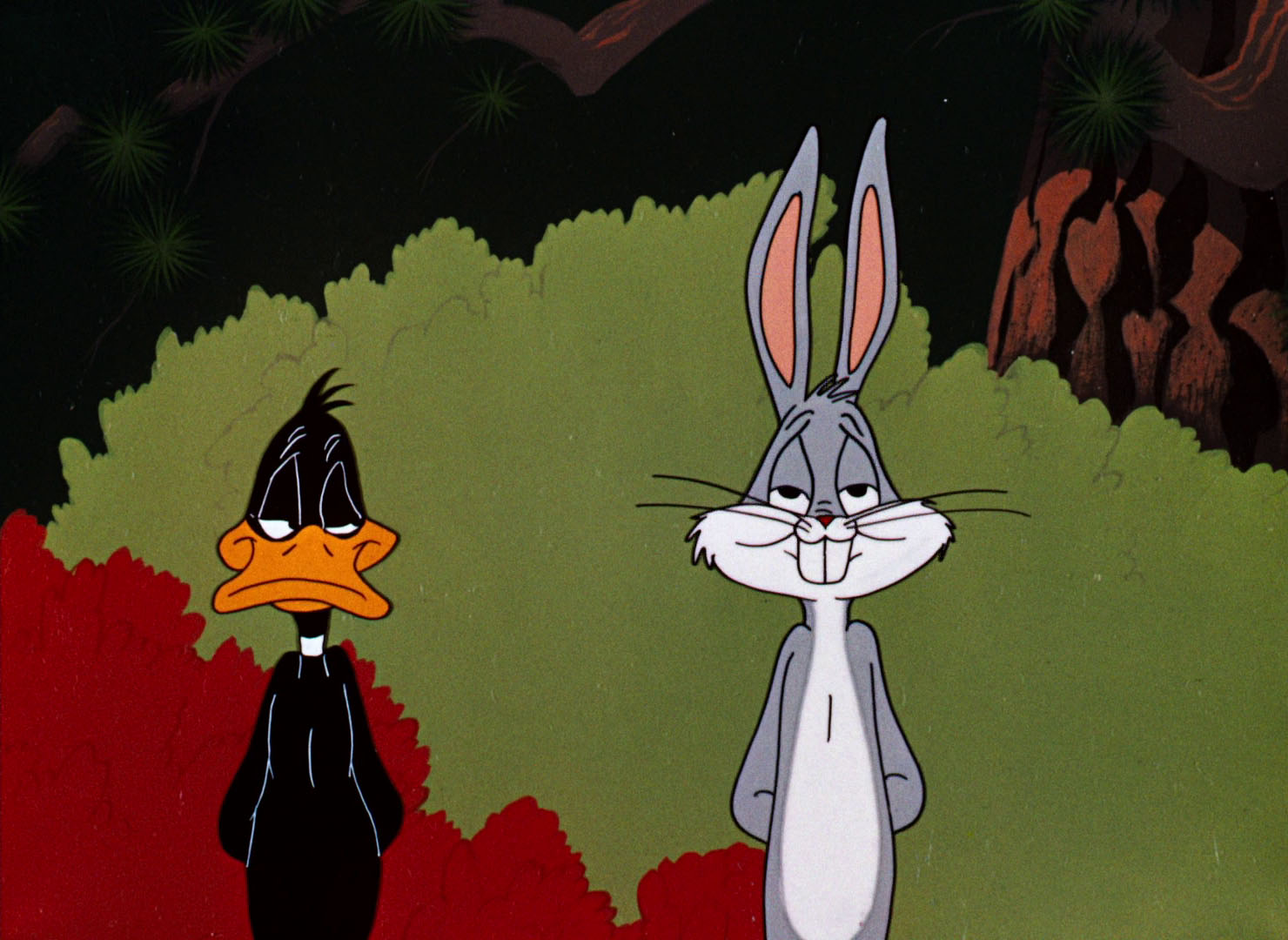 Looney Tunes Pictures: "Rabbit Seasoning"