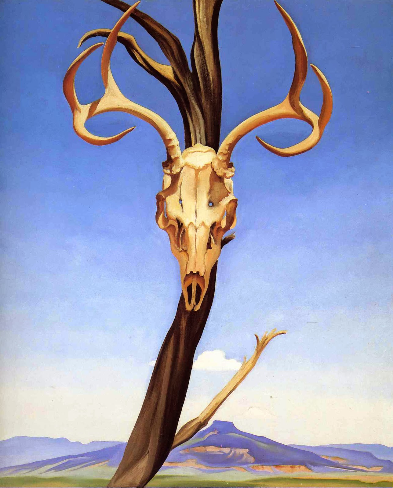 Arboretum Summer Nature Camp 2014 Week 4 O'Keeffe Inspires