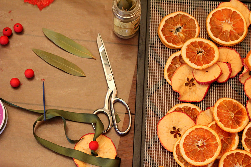 More Fun With An Apron Dried Orange and Apple Ornaments