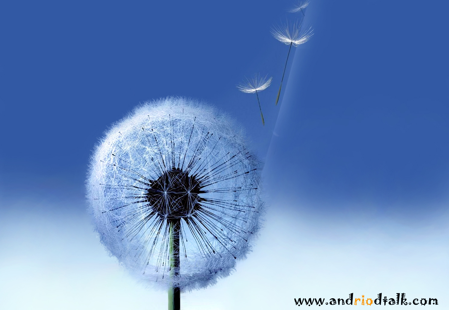 Blue Skies Live Wallpaper Apk