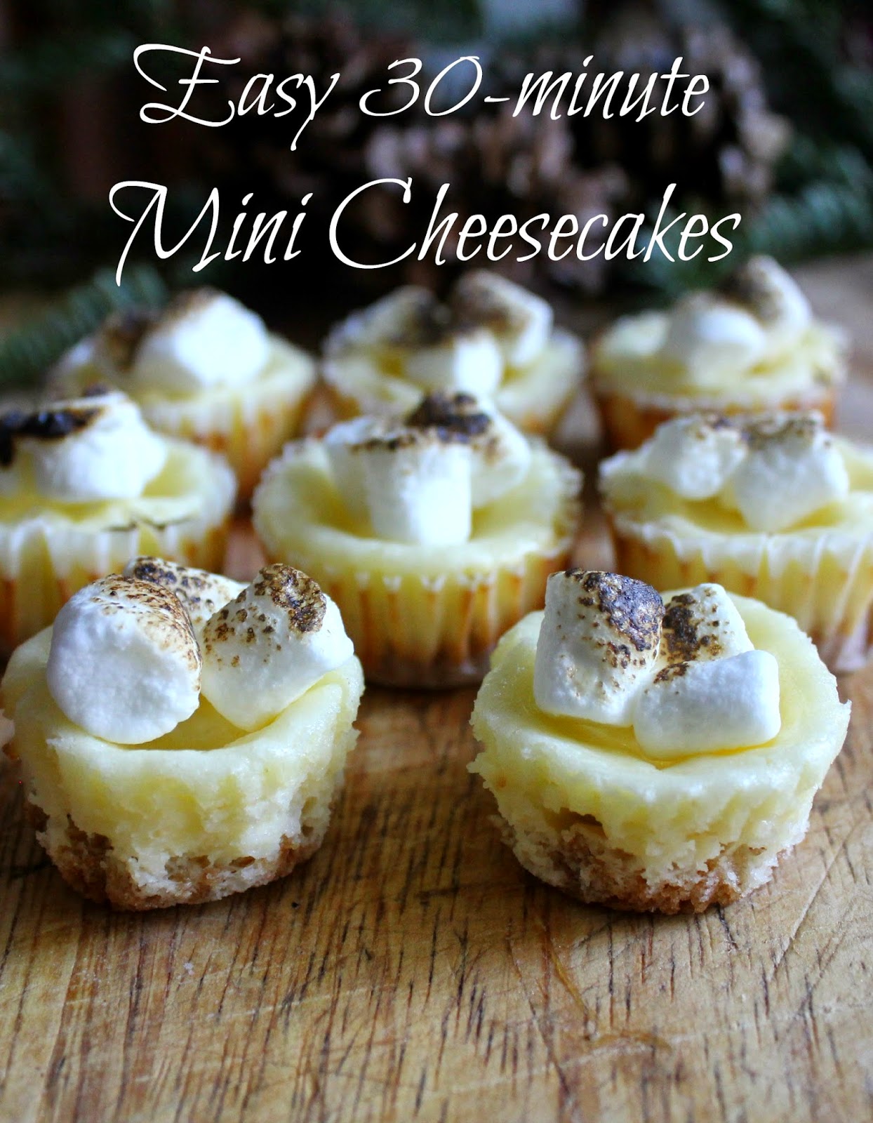 Easy 30 minute Mini Cheesecakes. Perfect bite-sized dessert for your next party! #TasteTheSeason #ad