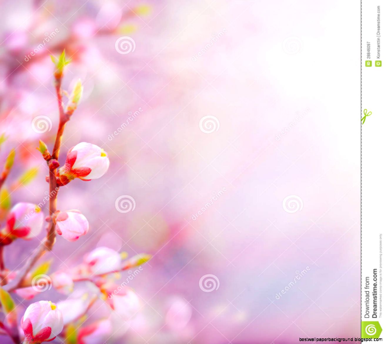Art Beautiful Spring Blossoming Tree On Sky Background Royalty Art Beautiful Spring Blossoming Tree On Sky Background Royalty