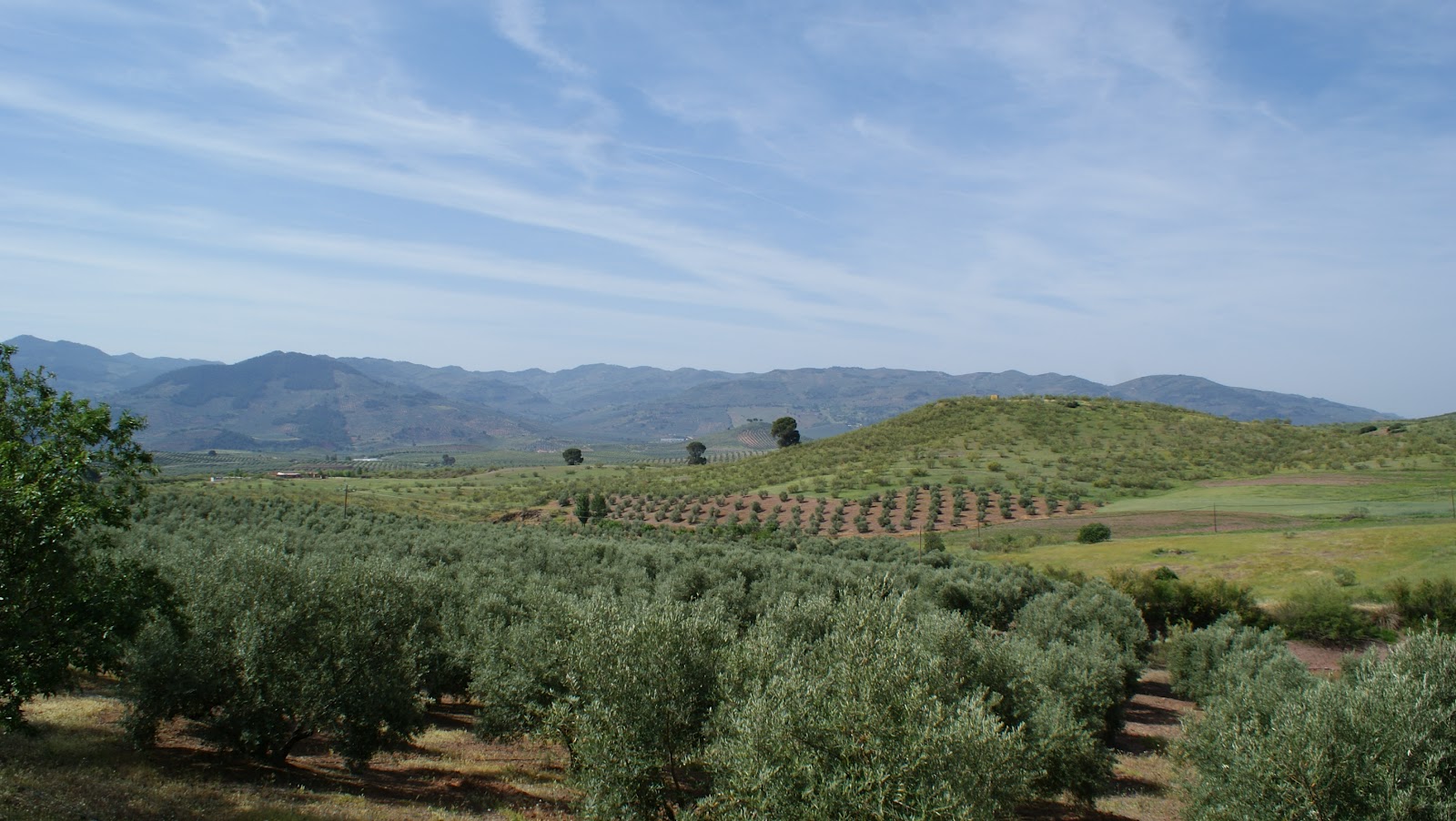 Las Graceas aldea ecologica, eco village Fotos de la aldea.